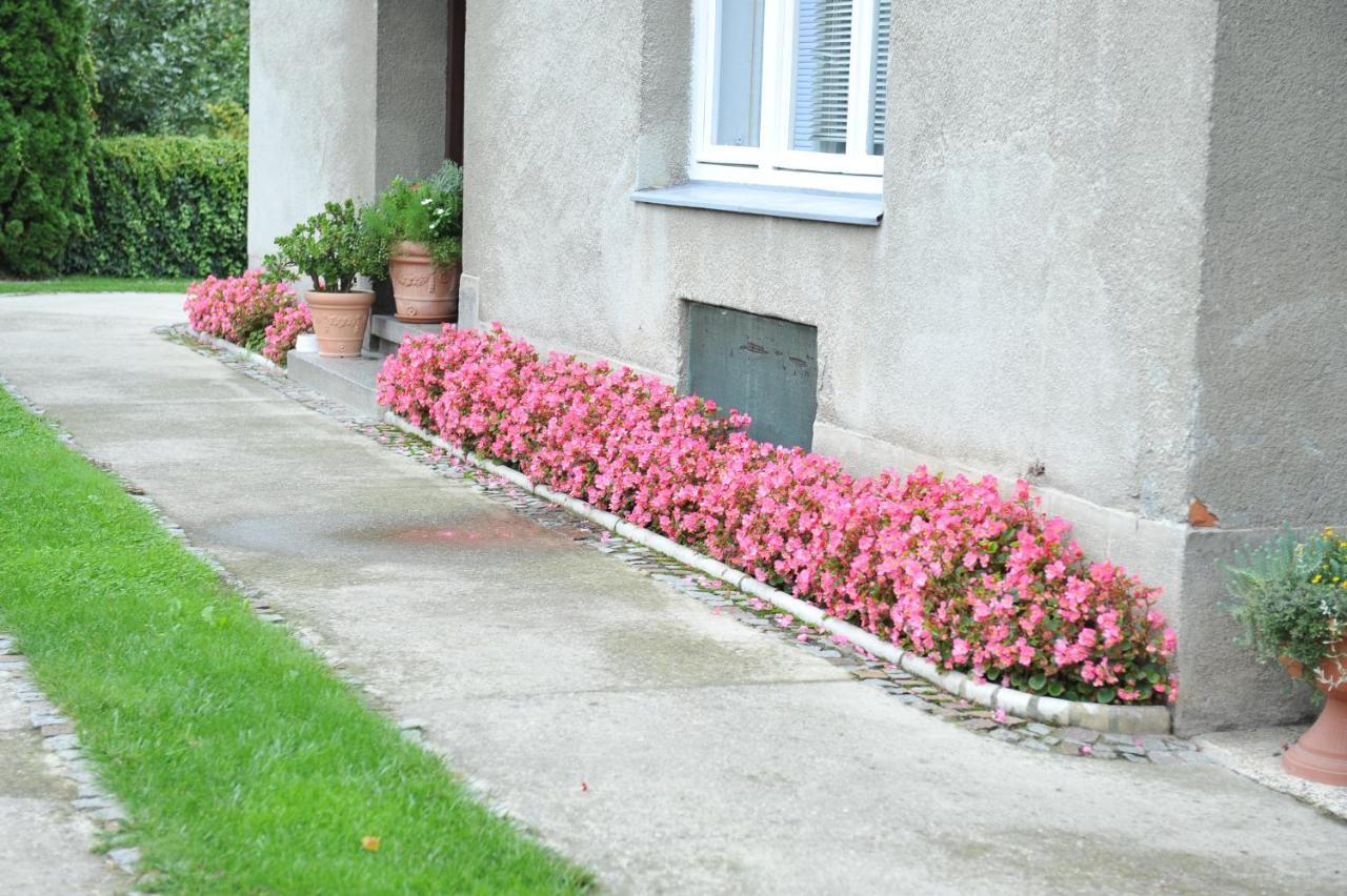 D&d Apartment Varazdin